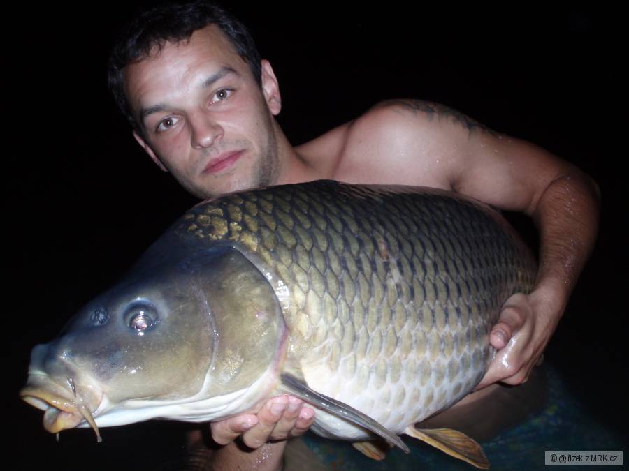 LB carp