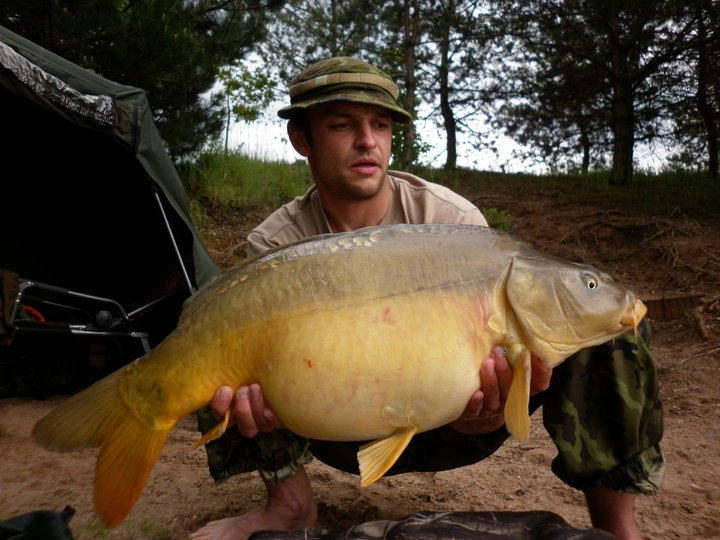 carp LB
