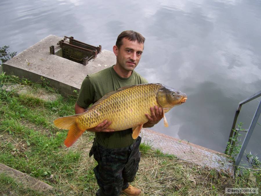 labe 16kg