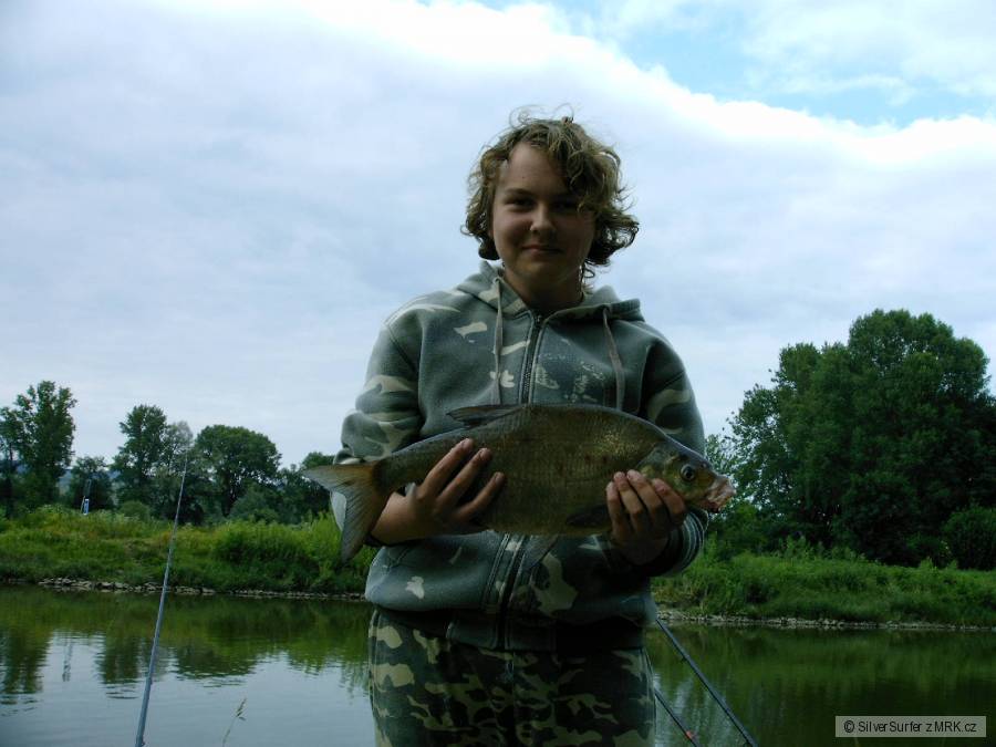 Cejn 63 cm