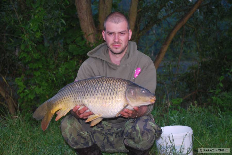 8,3 kg