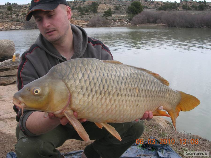 72 cm, 8,5 kg