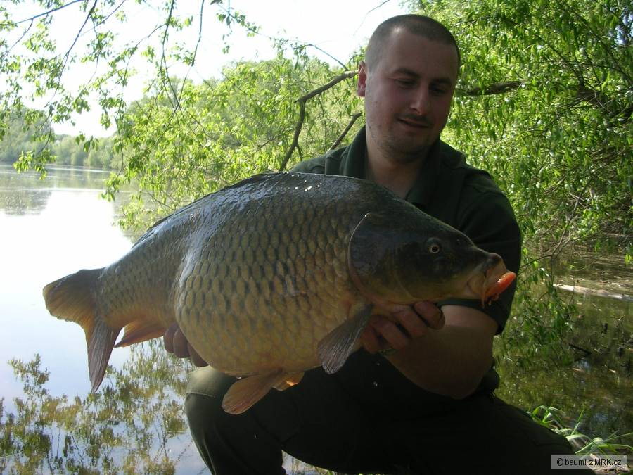 68 cm, 10 kg