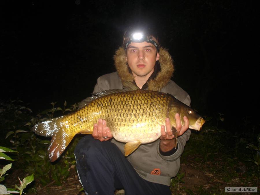 kapr 73cm 9kg