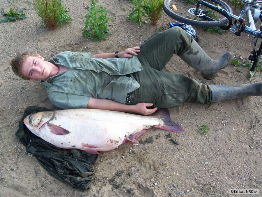 Tolstolobik 110cm 23kg