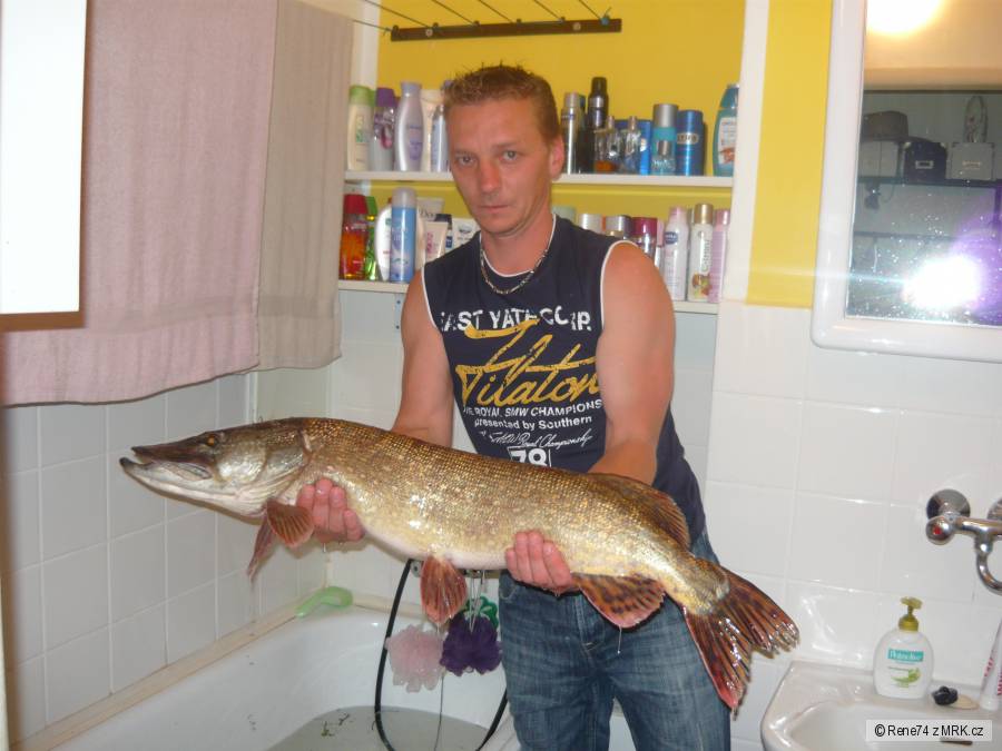 Štika 87cm, 6300g