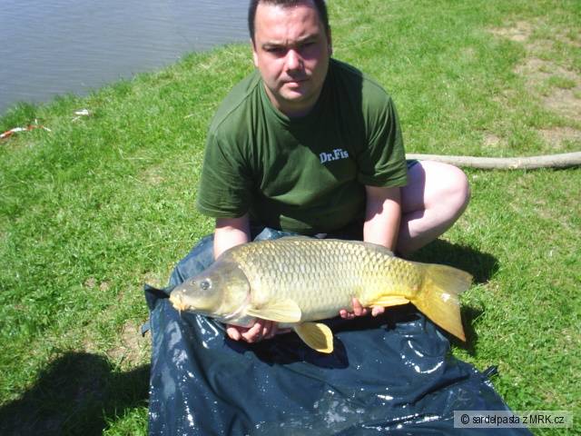 Kapr 83 cm 11.47