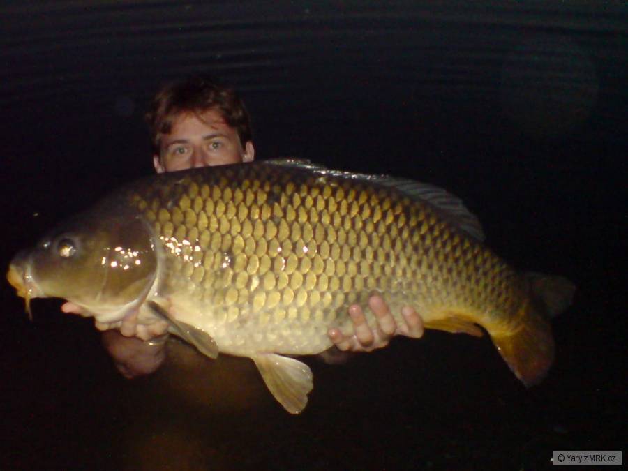 můj osobák,80cm-13,50kg