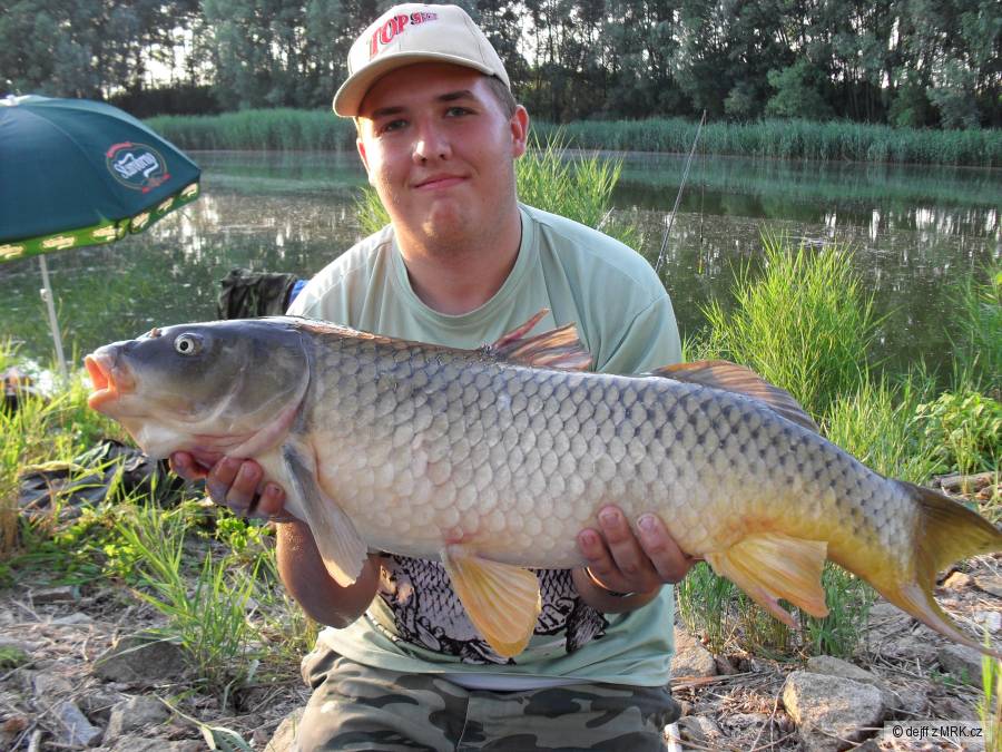 86cm,9kg