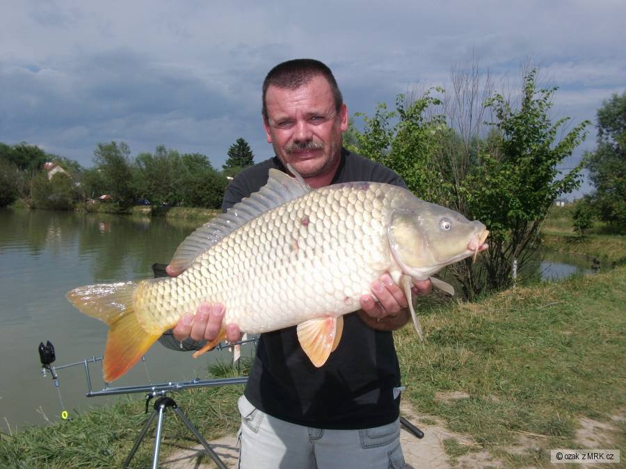 dnes největší
