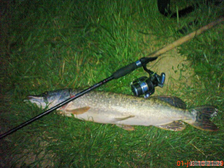 šťuka 75cm