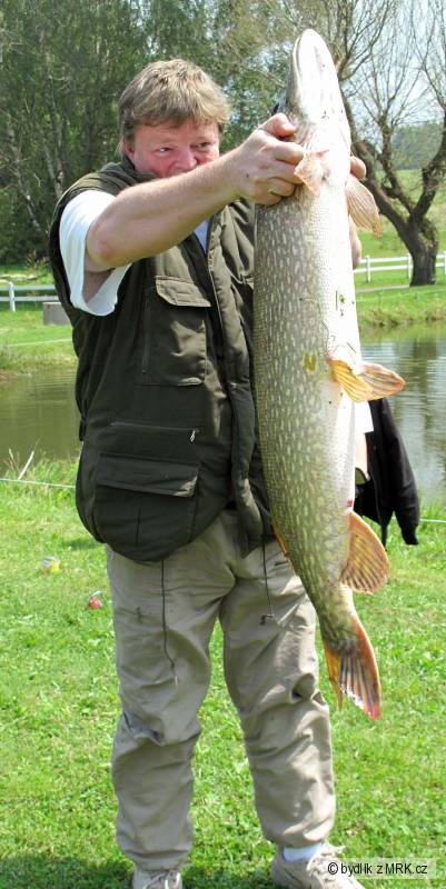 103 cm , 10,5 kg 