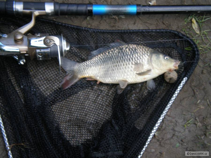 kapricek 32cm:D