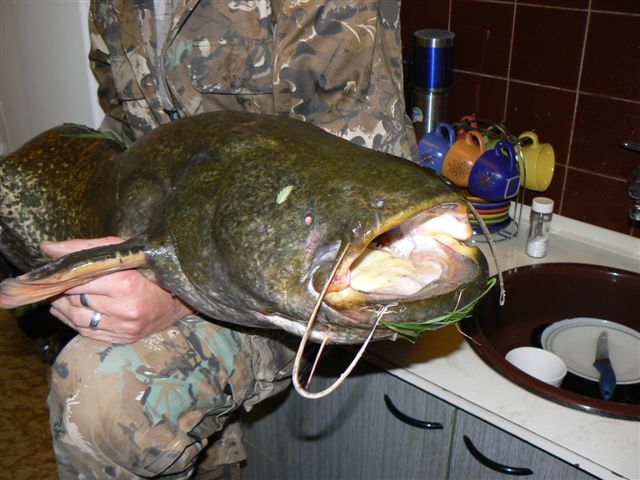 sumec 150 cm