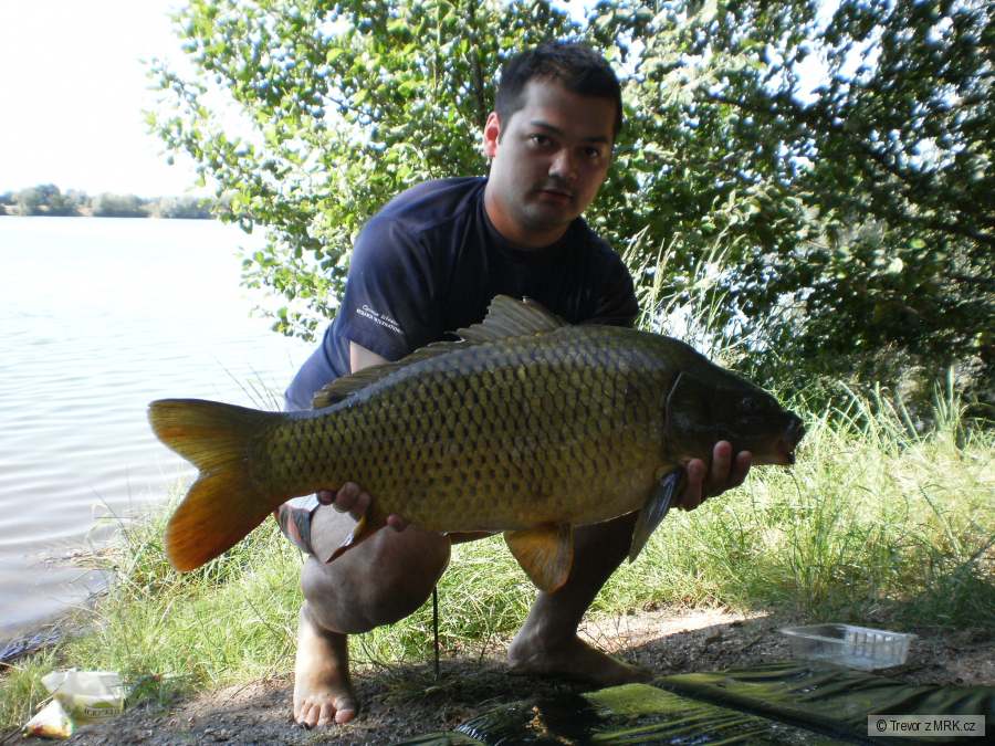 Roudnice 9,8kg