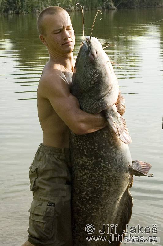 206 cm, 55 Kg