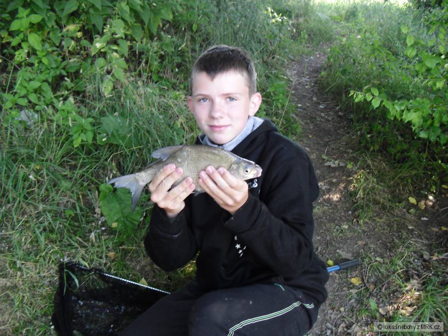 Cejn 34 cm