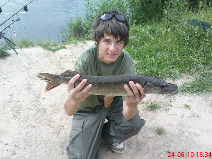 Śtička