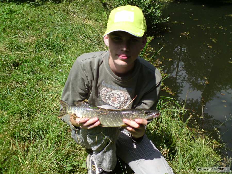 ŠTIKA 45