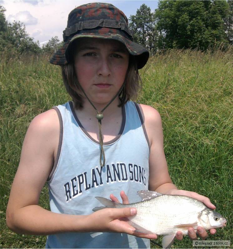 Cejnek 34cm