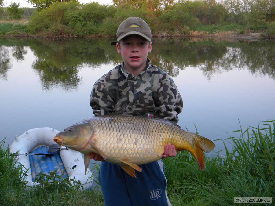 Kapr 74 cm z řeky Moravy