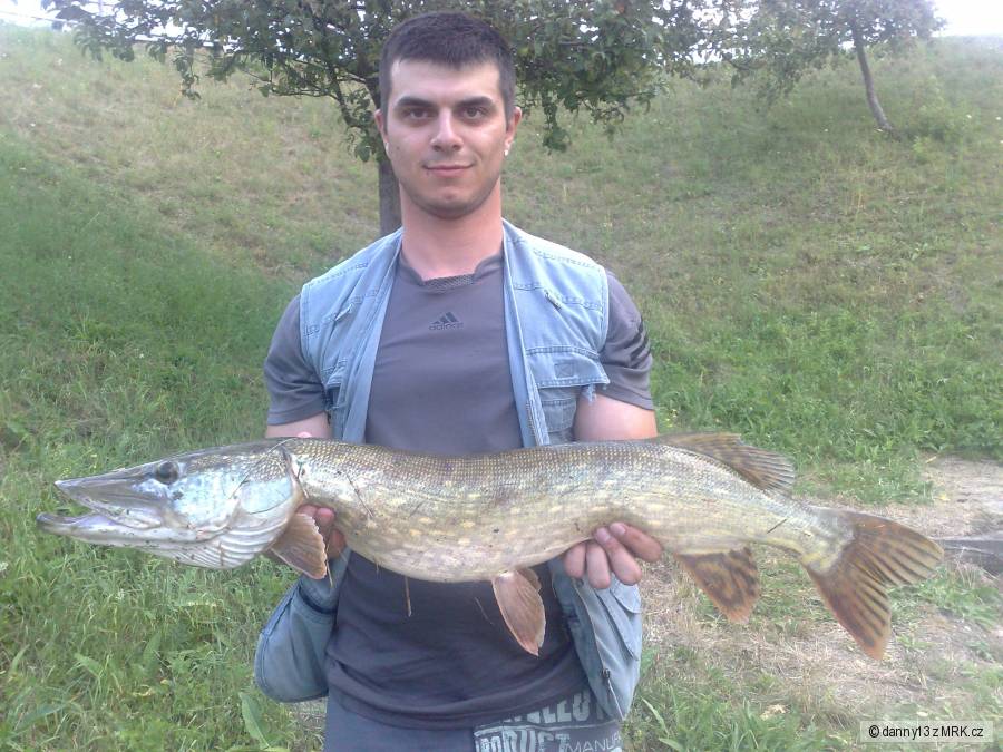 šťuka 86cm