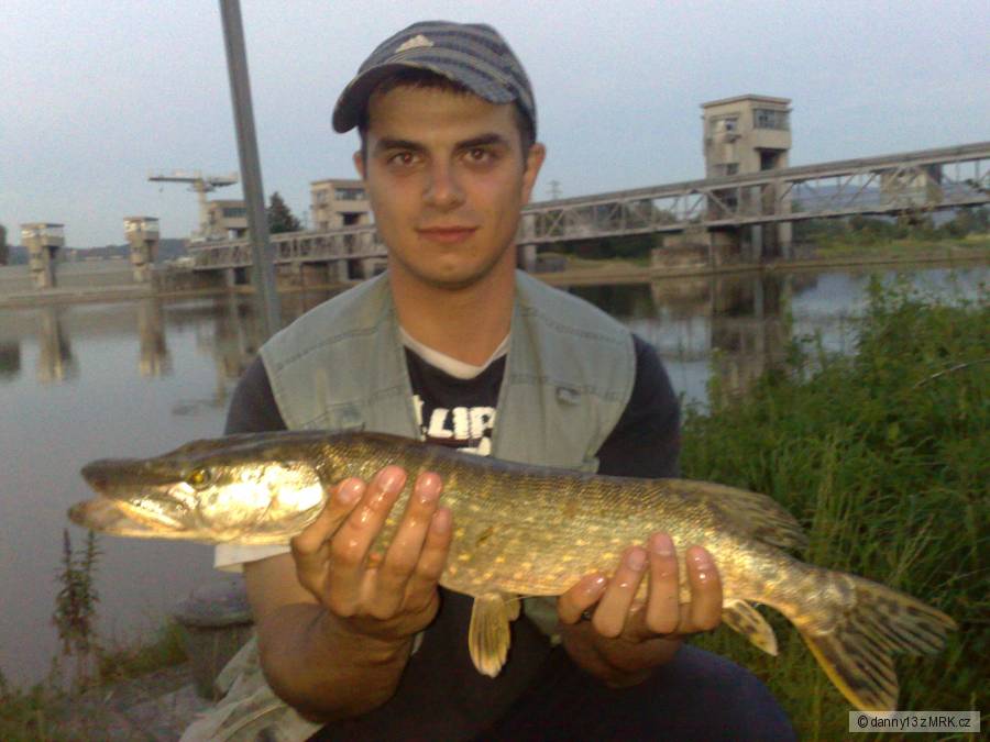 šťuka 54cm