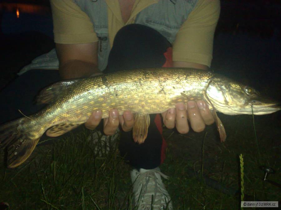 šťuka 52cm