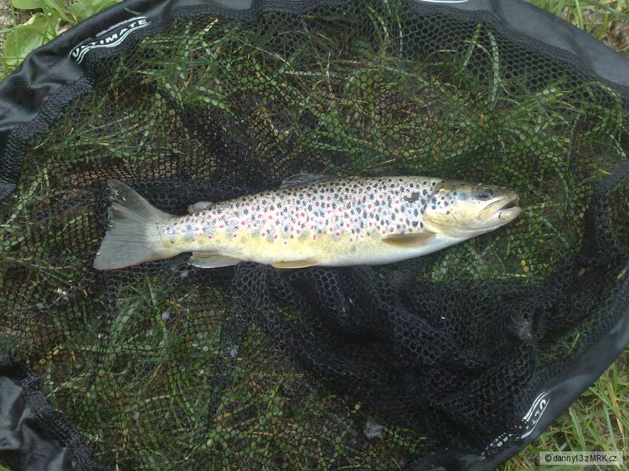 potočák 27cm