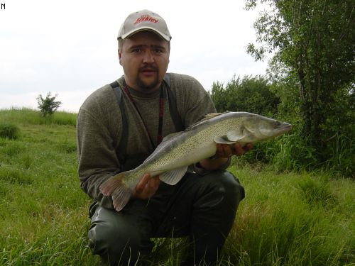zubec