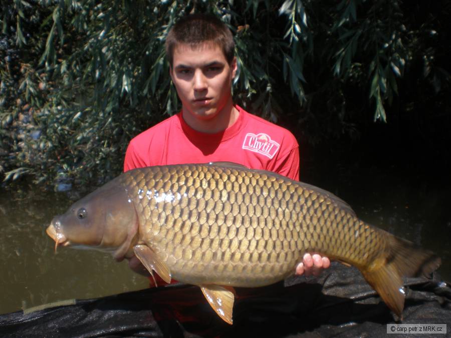 82cm, 10.5Kg