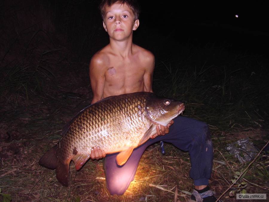 kapr 82 13kg