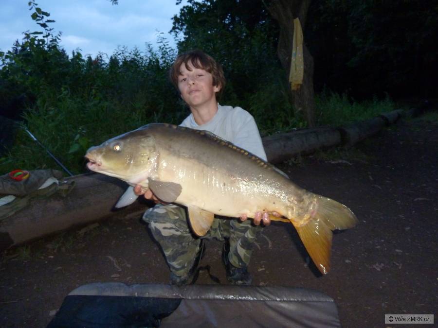 77 cm 8,1/4kg