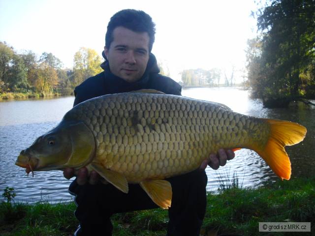 kapr 85cm 8,5kg