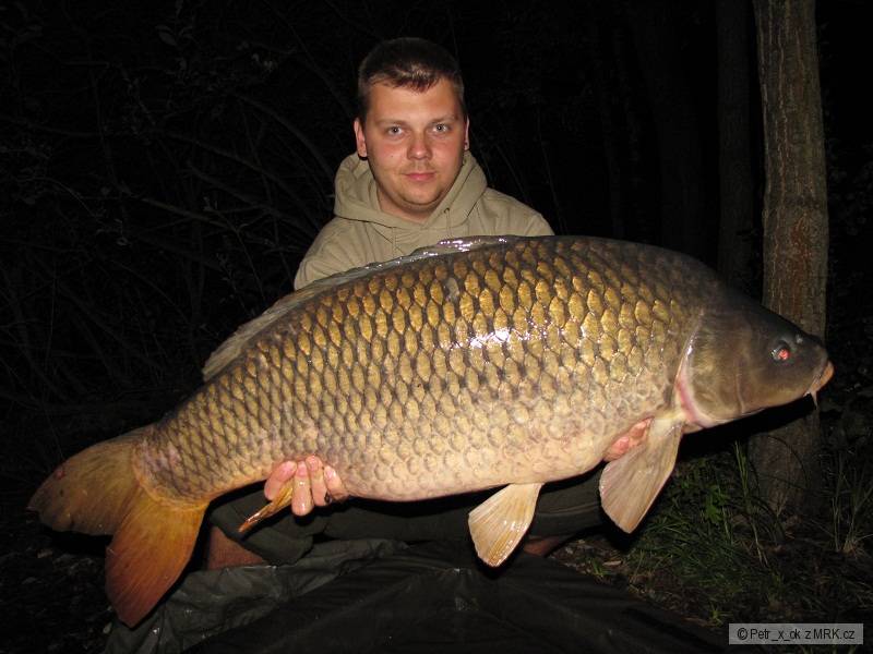 96 cm 17,3 kg