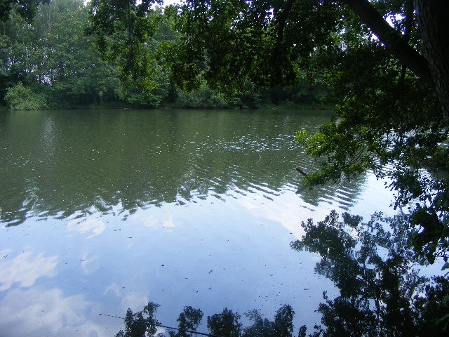 srdeční