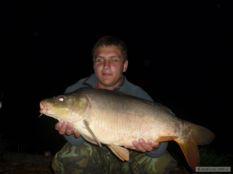 kapr 77cm,9kg
