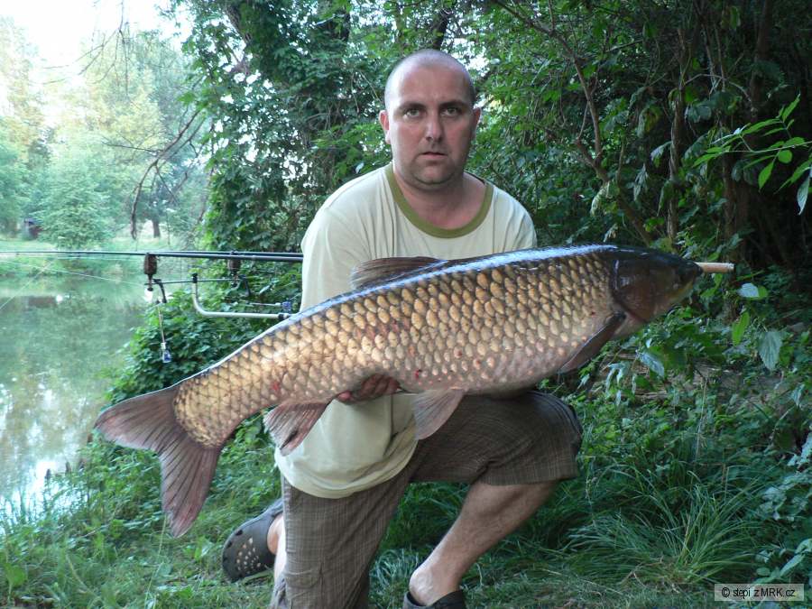 amur 102cm 12kg