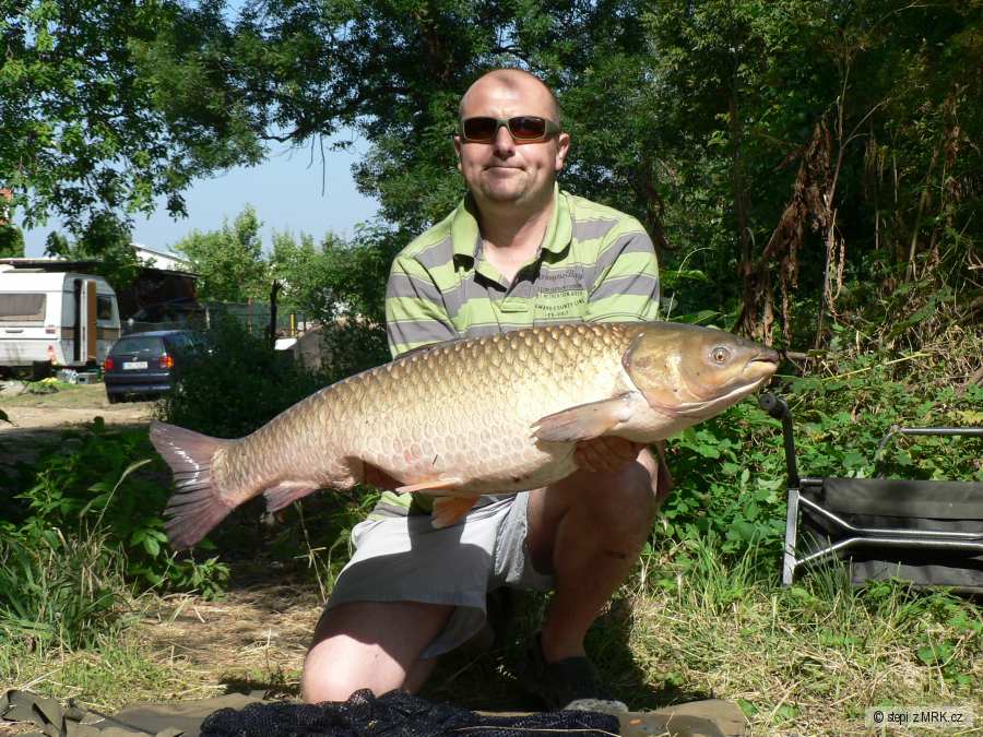 Amur 112cm 16kg