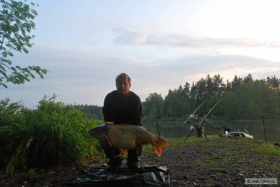 Kapr 21kg