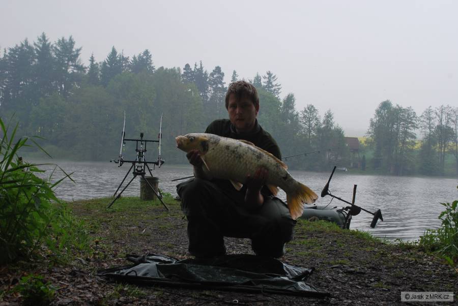 Kapr koia 12kg