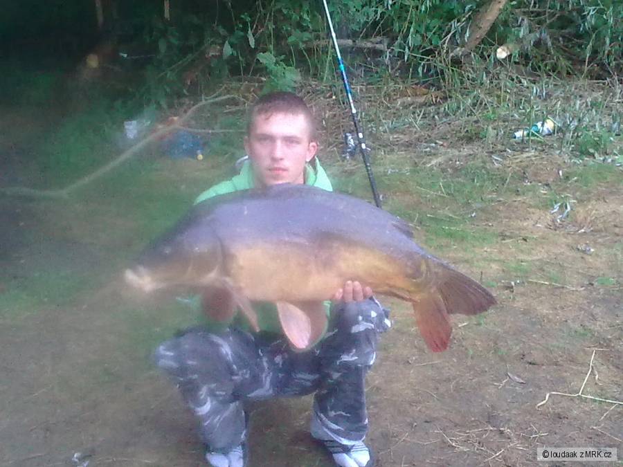 91cm 14,5 kg