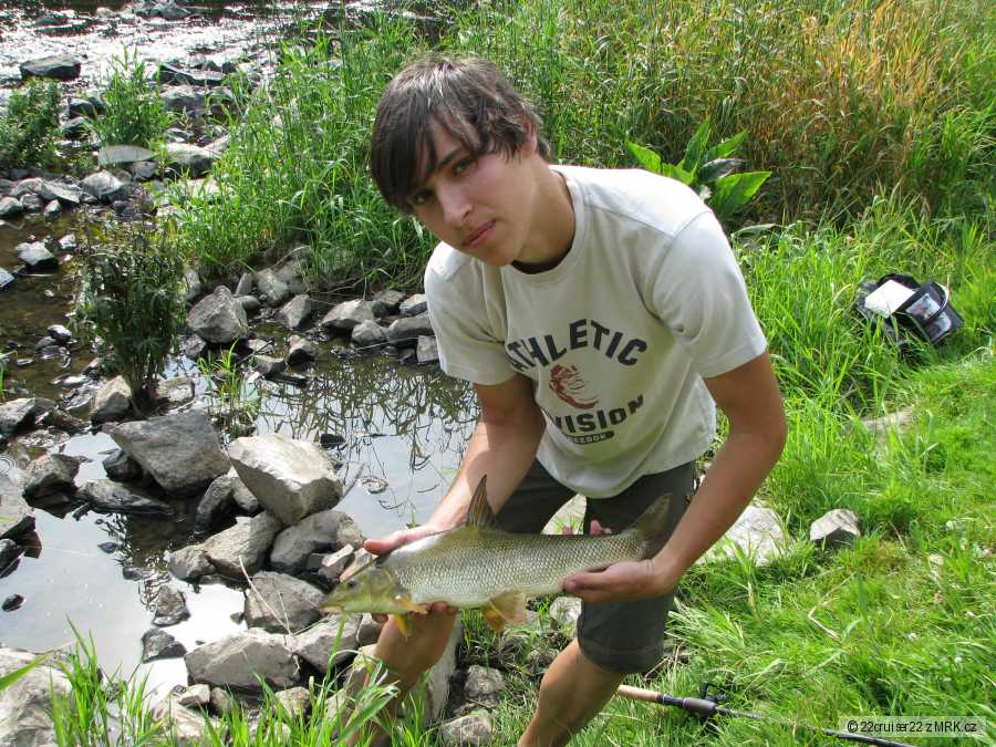 Parmicka na feeder