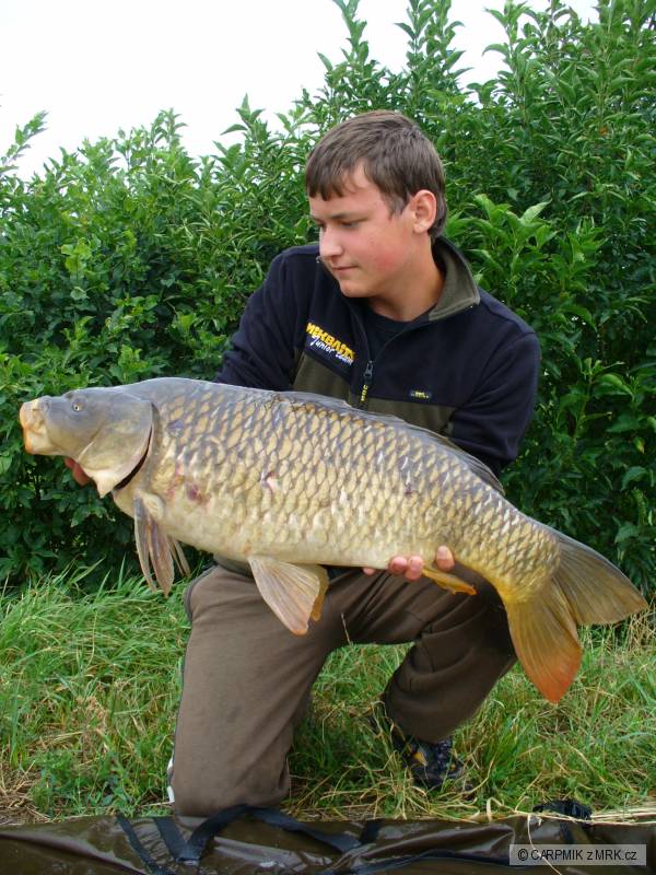 78CM-7.9KG