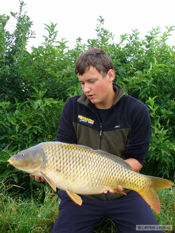 70CM-6.1KG
