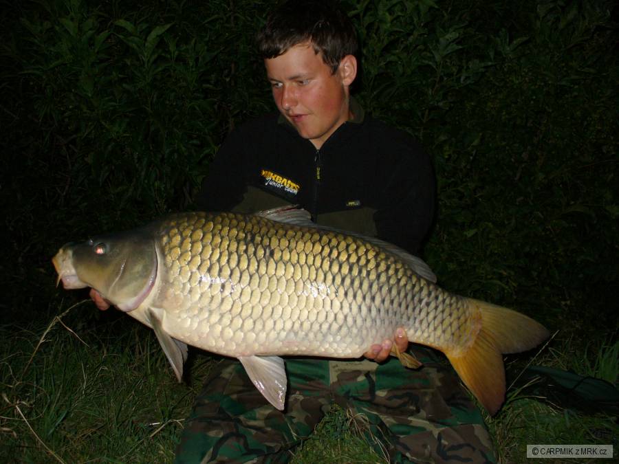83CM-10.5KG