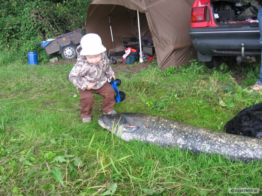 Labe-140cm