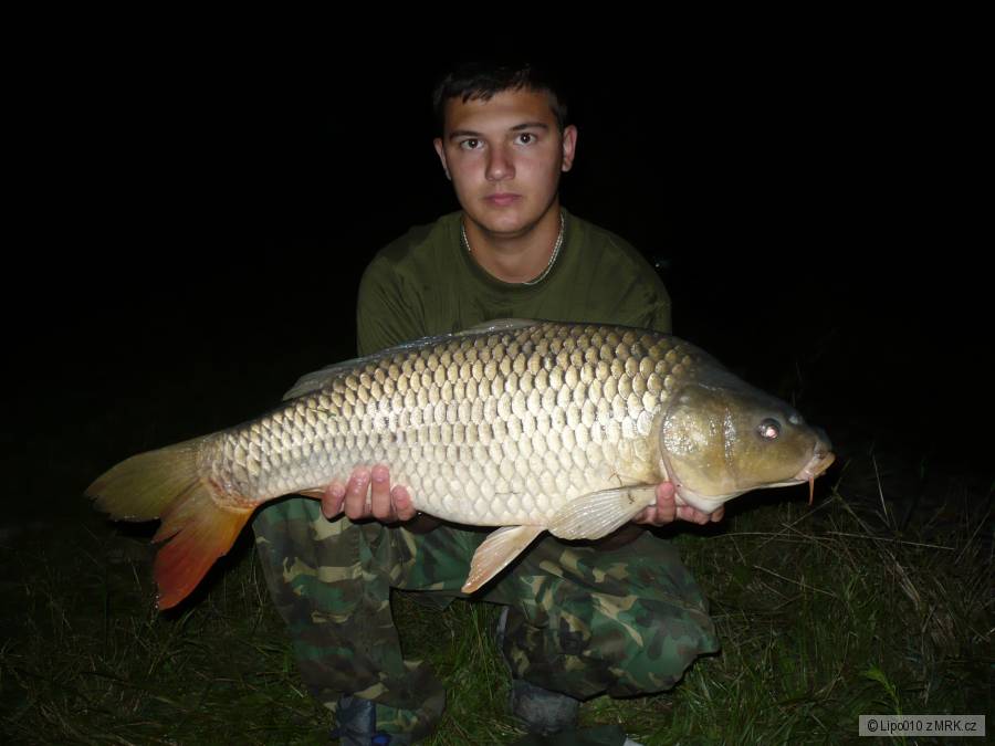 Kapr 75cm