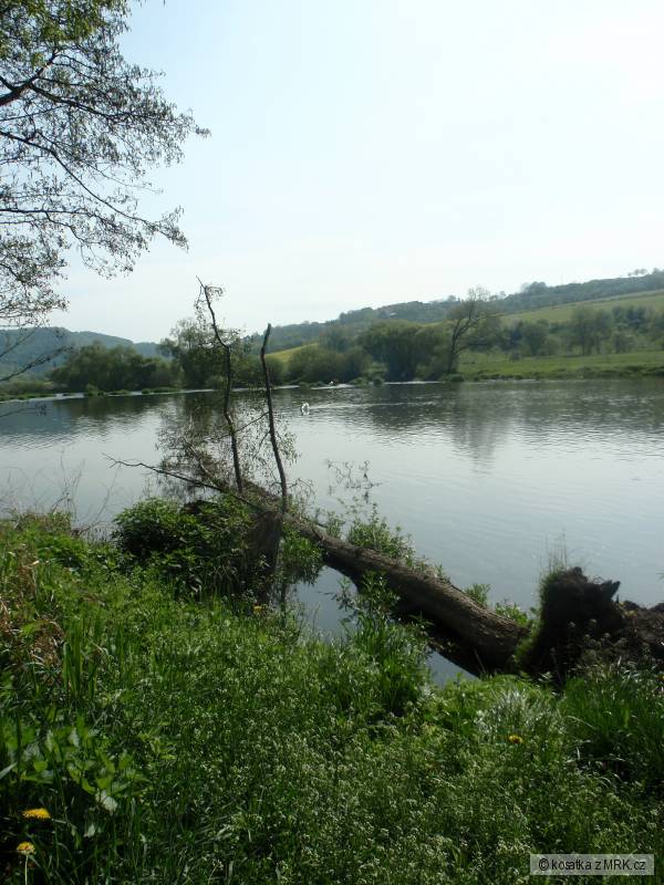 Kouzeln� Berounka