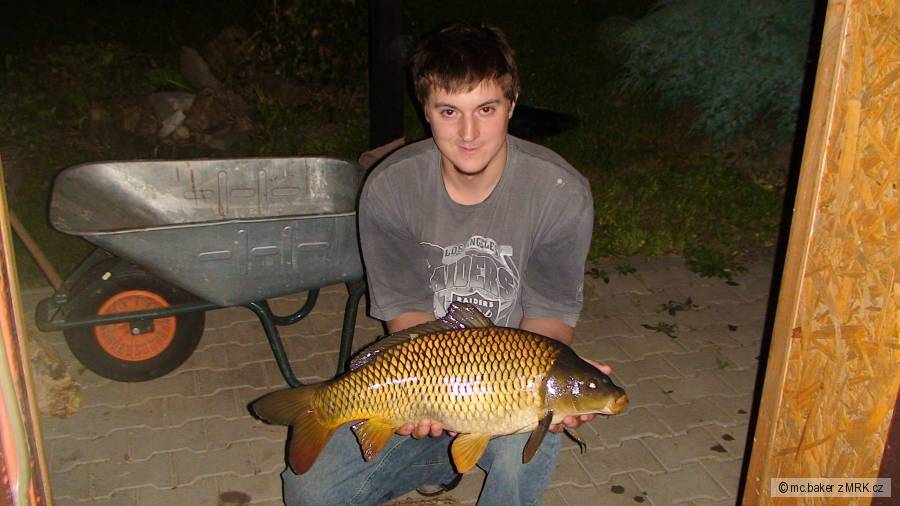 kapr 66cm